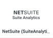 i netsuite analytics